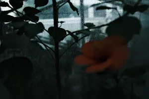 GREENHOUSE01-SHINJUKU-20250920