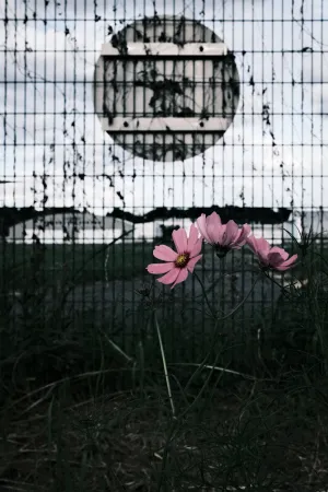 COSMOS-CHOFU-20250923